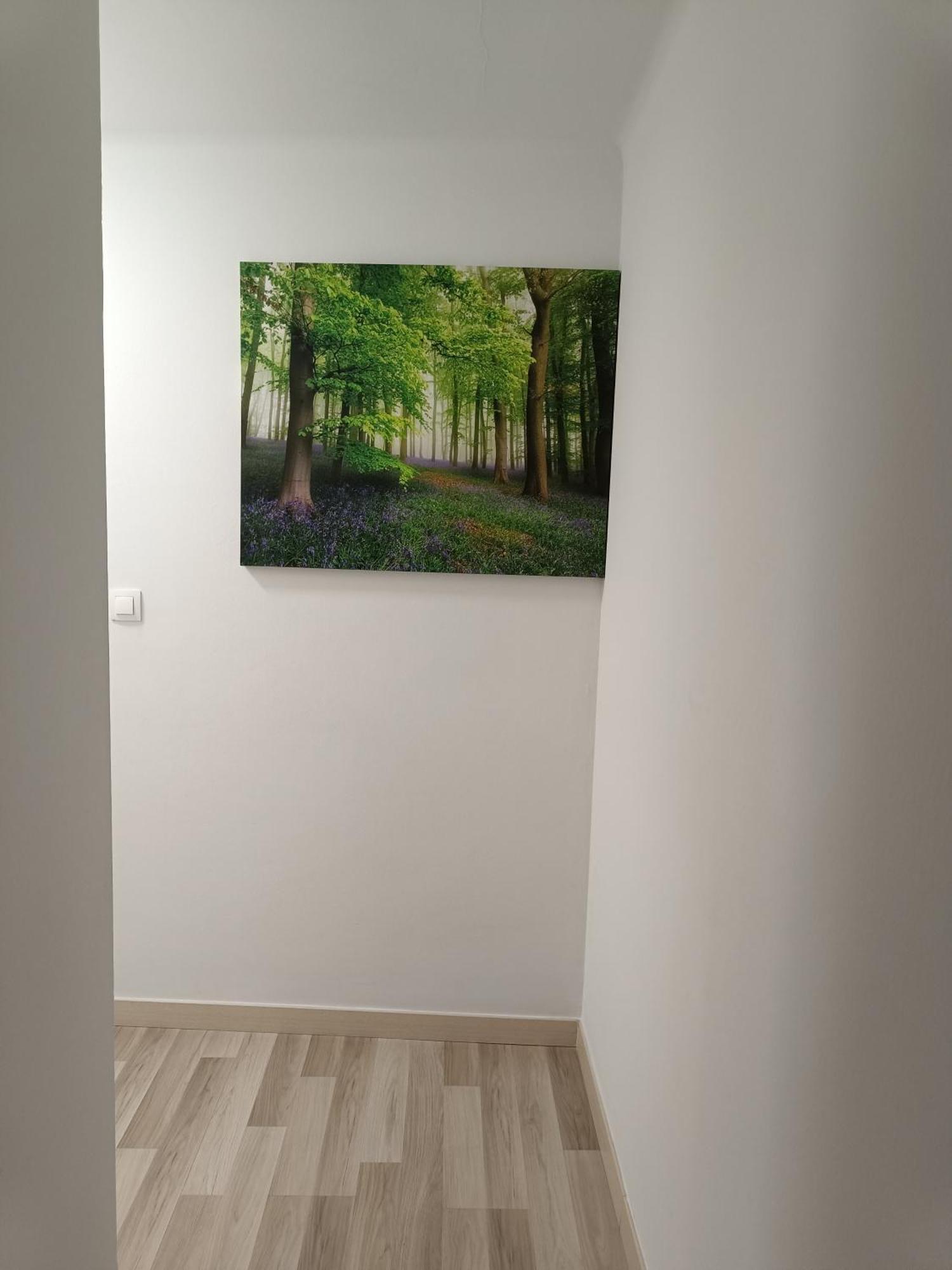 Apartamento Confort I La Seu d'Urgell Esterno foto